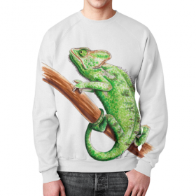 full_print_sweatshirt с принтом Зеленый хамелеон на ветке во Владимире,  |  | Тематика изображения на принте: 