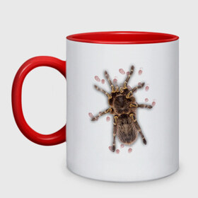 Кружка двухцветная Тарантул: во Владимире, керамика | объем — 330 мл, диаметр — 80 мм. Цветная ручка и кайма сверху, в некоторых цветах — вся внутренняя часть | Тематика изображения на принте: животные | насекомые | паук | пауки | тарантул | тарантулы