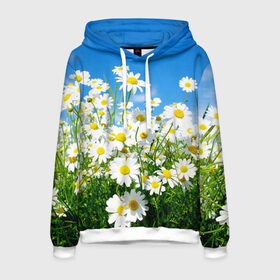 Мужская толстовка 3D с принтом Полевые цветы 7 во Владимире, 100% полиэстер | двухслойный капюшон со шнурком для регулировки, мягкие манжеты на рукавах и по низу толстовки, спереди карман-кенгуру с мягким внутренним слоем. | поле | полевые цветы | цветы