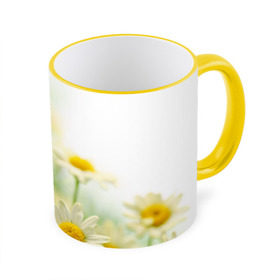 Кружка 3D с принтом Полевые ромашки во Владимире, керамика | ёмкость 330 мл | Тематика изображения на принте: луг | поле | цветы