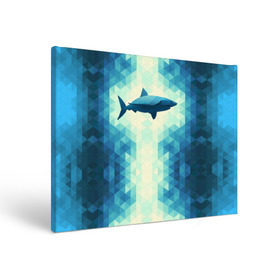 Холст прямоугольный с принтом Акула во Владимире, 100% ПВХ |  | shark | водолаз | гарпун | глубина | дельфин | злость | зубы | кит | кровь | курорт | лето | море | океан | отдых | охота | плавник | пляж | риф | рыба | хищник | челюсти | челюсть