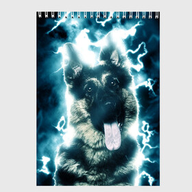 Скетчбук с принтом Немецкая овчарка во Владимире, 100% бумага
 | 48 листов, плотность листов — 100 г/м2, плотность картонной обложки — 250 г/м2. Листы скреплены сверху удобной пружинной спиралью | Тематика изображения на принте: немецкая овчарка | овчарка | собака