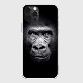 Чехол для iPhone 12 Pro Max с принтом Горилла во Владимире, Силикон |  | animal | black | eyes | fauna | gorilla | gray | look | monkey | muzzle | primate | взгляд | глаза | горилла | животное | обезьяна | примат | серый | фауна | черный