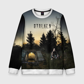 Детский свитшот 3D СТАЛКЕР 1: во Владимире, 100% полиэстер | свободная посадка, прямой крой, мягкая тканевая резинка на рукавах и понизу свитшота | s.t.a.l.k.e.r. | stalker | арт | зона | зона отчуждения | игра | мутант | пейзаж | припять | радиация | радиоктивный фон | сталкер | чернобыль