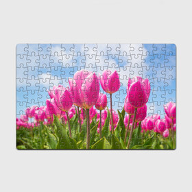 Пазл магнитный 126 элементов с принтом Розовые тюльпаны во Владимире, полимерный материал с магнитным слоем | 126 деталей, размер изделия —  180*270 мм | flowers | бутоны | дача | девушке | женщинам | лепестки | летний | лето | листья | любимая | любовь | небесный | небо | нежный | облака | поляна | природа | растения | романтика | сад | синеенебо | солнечный