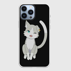 Чехол для iPhone 13 Pro Max с принтом Re:Zero во Владимире,  |  | anime | cat | cats | glitch | japan | ram | re | rem | rezero | senpai | subaru | waifu | zero | анимация | аниме | вайфу | глитч | глич | кот | кошка | мультсериал | мультфильм | семпай | сенпай | сериал | япония