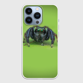 Чехол для iPhone 13 Pro ПАУК С ГЛАЗКАМИ: во Владимире,  |  | Тематика изображения на принте: tegunvteg | глаза | животные | макро | насекомые | паук | природа