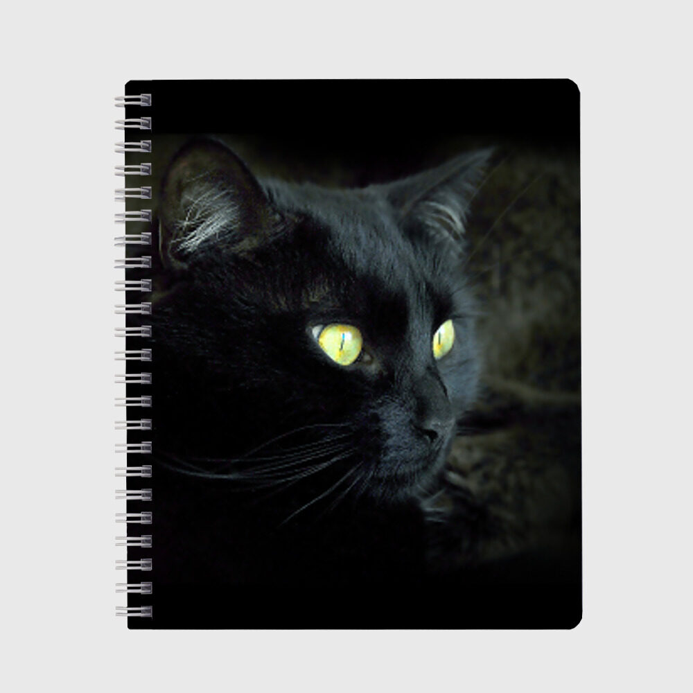 Тетрадь Черный фото