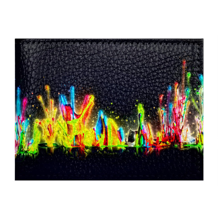 Обложка для студенческого билета Взрыв красок фото